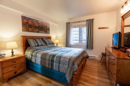 Schlafzimmer mit einem Bett, einem TV und einem Fenster in der Unterkunft Vantage Point Lionshead by Vail Realty in Vail