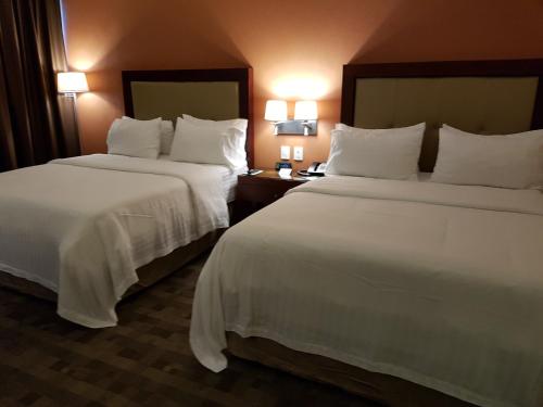 Кровать или кровати в номере Holiday Inn & Suites Plaza Mayor by IHG