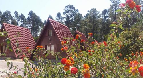 un grupo de casas con flores delante de ellas en parque de campismo de Luso en Luso