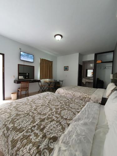 HOTEL MIRAMAR – Photos 5