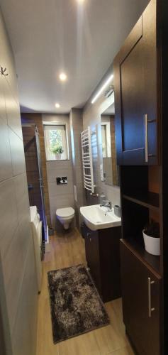 a bathroom with a sink and a toilet at Apartament A&S Widok w Wałbrzychu in Wałbrzych