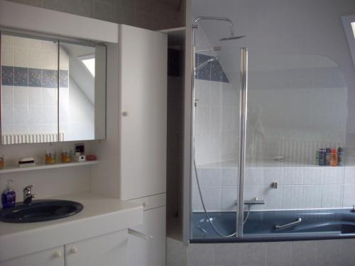 een badkamer met een douche en een wastafel bij B&B Wijnendalvallei in Torhout