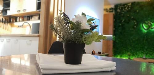 a black vase with a flower on a table at Apartman ZELENA BAJKA- Bjelašnica in Bjelašnica