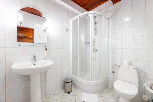 un bagno con lavandino, WC e doccia di Wille Trójca a Trójca