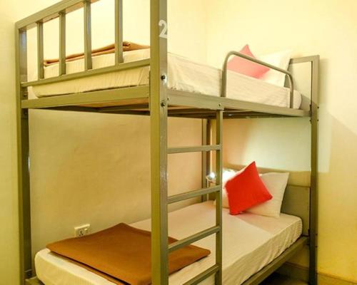 a bunk bed room with a couple of bunk beds at Zostel Jaipur in Jaipur
