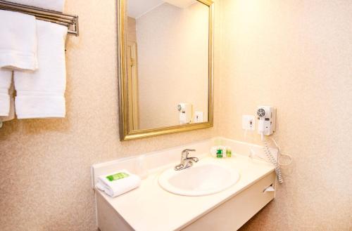 uma casa de banho com um lavatório e um espelho em Holiday Inn Hinton, an IHG Hotel em Hinton