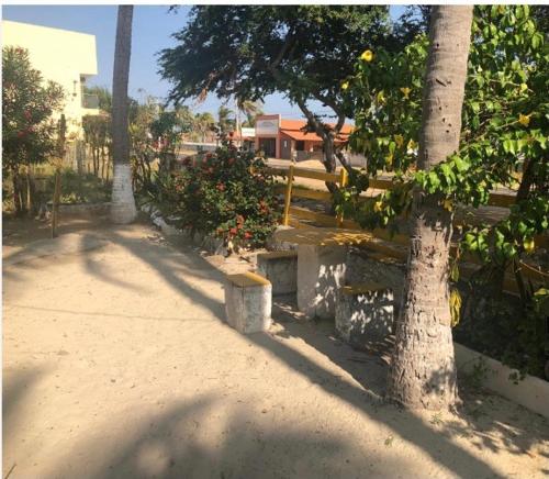 un parc avec deux palmiers et un banc dans l'établissement Casa de praia rústica, à Luis Correia