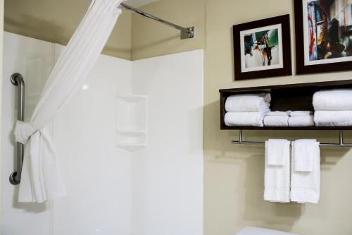 a bathroom with white towels and a shower at Country Inn & Suites by Radisson, Richmond West at I-64, VA in Richmond