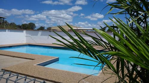 a swimming pool with a palm plant next to it at Espana Motel in Grafton