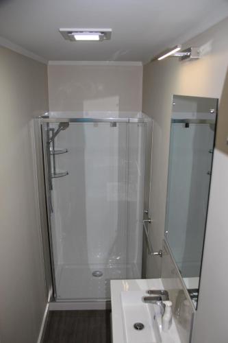 a bathroom with a shower and a sink at Linton Cottage in Palmerston North