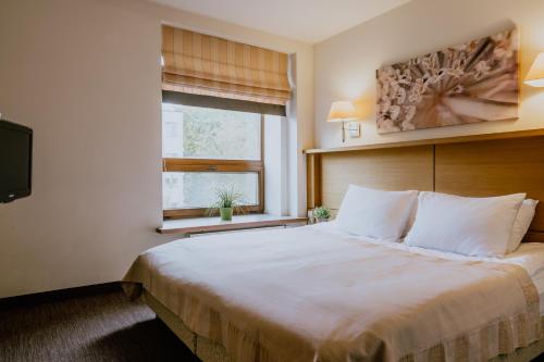 um quarto de hotel com uma cama grande e uma janela em De Lita em Druskininkai
