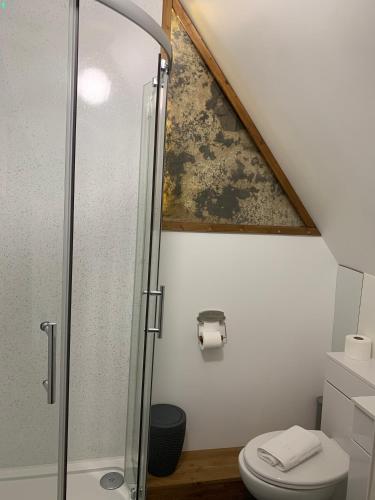 a bathroom with a glass shower with a toilet at The Maidens Chambers in Canterbury