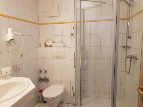 een badkamer met een douche, een toilet en een wastafel bij Ferienwohnung 7 Katharina mit Balkon in Lauterbach