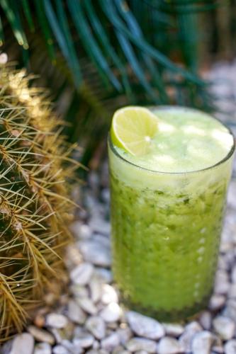 a green drink with a slice of lime at Torbahan Hotel in Torba