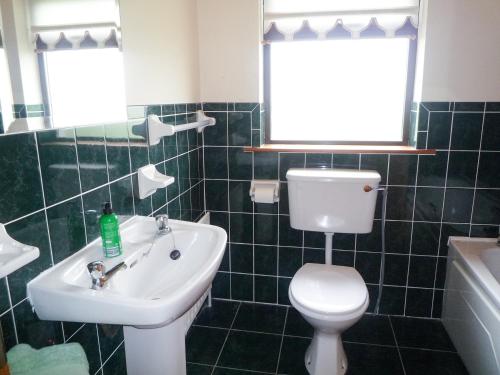 a bathroom with a white toilet and a sink at Boherbue Holiday Home in Boherboy