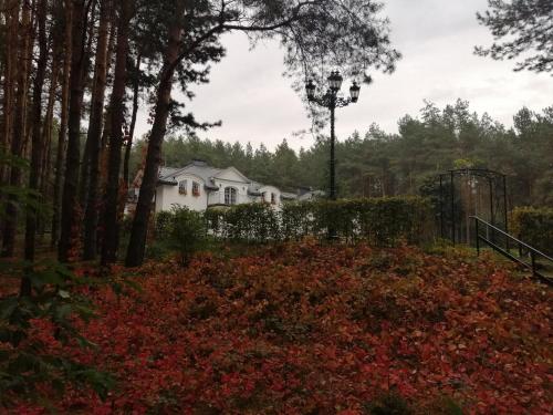 una casa en el bosque con un montón de hojas en Leśny Dwór Uhowo, en Uhowo
