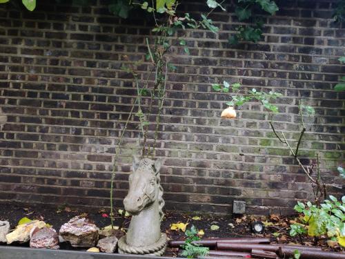 a fire hydrant sitting on top of a brick wall at Blue Bells Hotel in London