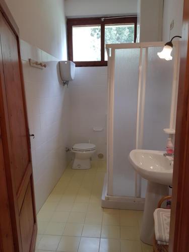 a bathroom with a shower and a toilet and a sink at Palazzo Di Piero in Sarteano