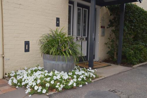 Fotografie z fotogalerie ubytování Centralpoint Motel v destinaci Wagga Wagga