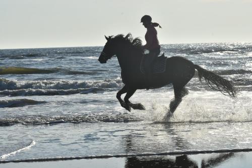 a woman riding a horse on the beach at B&B Buiten Gewoon Callantsoog in Callantsoog