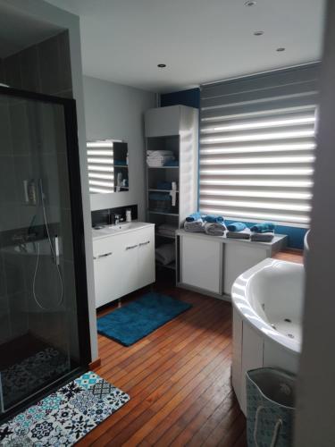 ein Badezimmer mit einer Dusche, einer Badewanne und einem Waschbecken in der Unterkunft Chez Marianne in Wailly