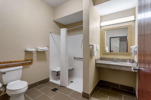 a bathroom with a toilet and a sink at Comfort Inn & Suites Carbondale University Area in Carbondale