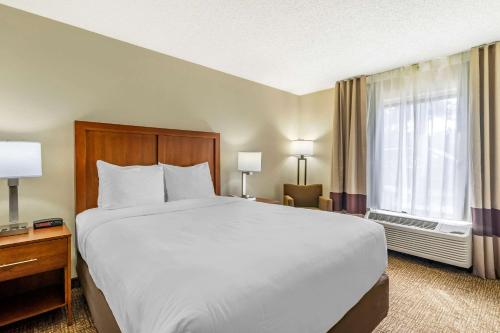 a hotel room with a large bed and a window at Comfort Inn & Suites St Pete - Clearwater International Airport in Clearwater