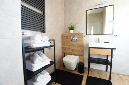La salle de bains est pourvue d'un lavabo, de toilettes et d'un miroir. dans l'établissement Apartamenty Pod Gwiazdami, à Ustroń