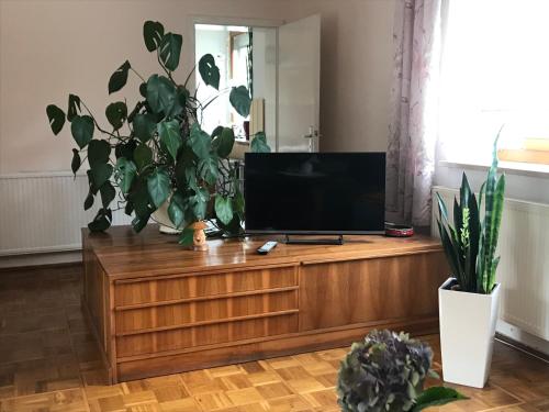 sala de estar con TV de pantalla plana en un centro de entretenimiento de madera en Am Brunnen Merkendorf en Zeulenroda