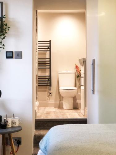 a bathroom with a toilet in a room at The Hive at Poppi-Red in Hawkshead