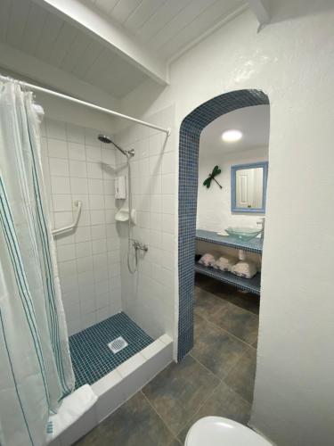 a bathroom with a shower and a toilet at Cabañas Caballieri in Pisco Elqui
