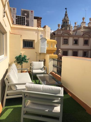 Constitución Terraza Olehousing