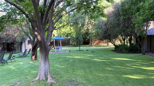 Taman di luar Safari Club Guest Lodge OR Tambo International Airport