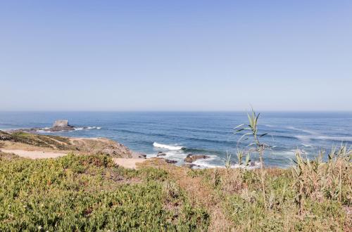 a group of animals standing on a beach near the ocean at Villa Zambujeira do Mar Family & Friends in Zambujeira do Mar