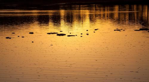 a group of rocks in the water at night at Hotel Arce in Baiona