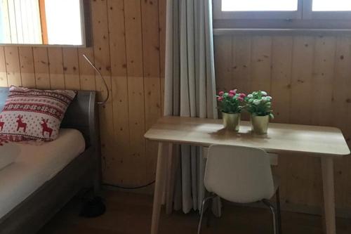 a room with a table with two plants on it at Casa Alpetta in Flumserberg