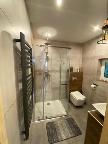 a bathroom with a glass shower and a toilet at Domek Przy Stoku - Słotwiny in Krynica Zdrój