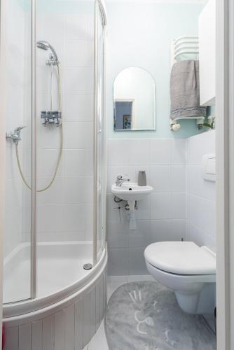 a bathroom with a shower and a toilet and a sink at ap4you Tauron Cracow in Krakow