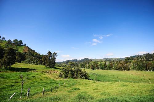 a green field with a fence in the middle at El Rancho de Salento in Salento