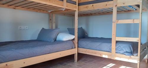 コニル・デ・ラ・フロンテーラにあるChalet La Primera Piedraの二段ベッド2組(青い枕付)が備わる客室です。