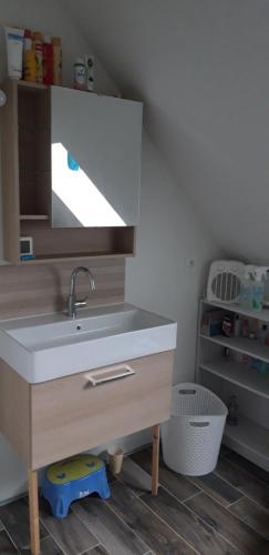 a bathroom with a sink and a mirror at La maison de Mathilde in Saint-Jean-de-la-Motte