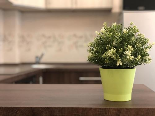 Zdjęcie z galerii obiektu Exclusive Home - D. apartman w mieście Pecz