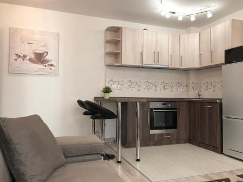 Il comprend un salon avec un canapé et une cuisine. dans l'établissement Exclusive Home - D. apartman, à Pécs