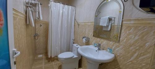 a bathroom with a sink and a toilet and a mirror at DREAMLAND HOTEL APARTMENT NIZWA in Nizwa