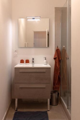 une salle de bain avec un lavabo, un miroir et une douche dans l'établissement Cœur de ville, tout équipé, local vélos, à Angers