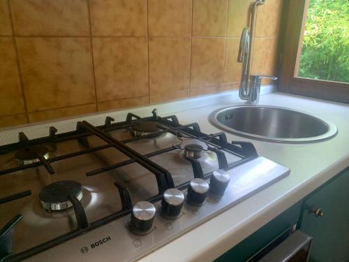 Il comprend une cuisine équipée d'une cuisinière et d'un évier. dans l'établissement GreenResidence Apartment, à Albavilla