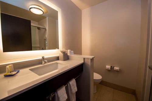 Gallery image of Holiday Inn Express & Suites - Colorado Springs AFA Northgate, an IHG Hotel in Colorado Springs