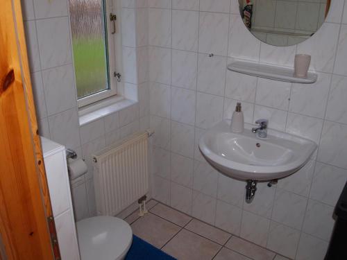 ein Bad mit einem Waschbecken und einem WC in der Unterkunft Bjælkehytten in Handewitt