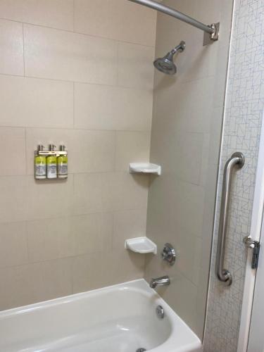 a bathroom with a shower and a tub and a sink at Holiday Inn Express & Suites Columbia-I-26 @ Harbison Blvd by IHG in Columbia