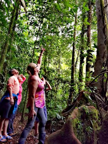 a group of people standing on a trail in the woods at Cecropia Ecolodge in Fortuna